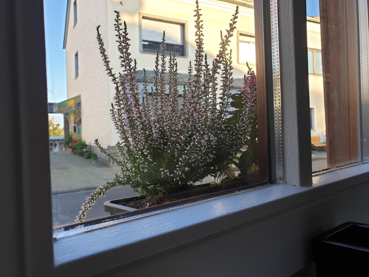 Duex-Hof Apartment Fachwerkhaus ボルンハイム エクステリア 写真
